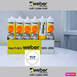 Keo trám silicone WS 200 - Clear 300ml