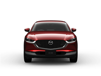 Mazda CX-30 Luxury (E5)