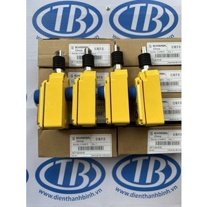 Công tắc an toàn ZS7122/1S VD