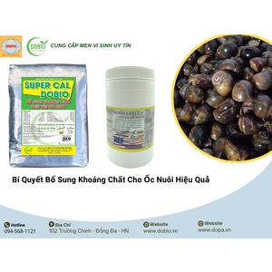 3 Bí Quyết Bổ Sung Khoáng Chất Cho Ốc Nuôi Hiệu Quả Từ DOBIO và DOPA