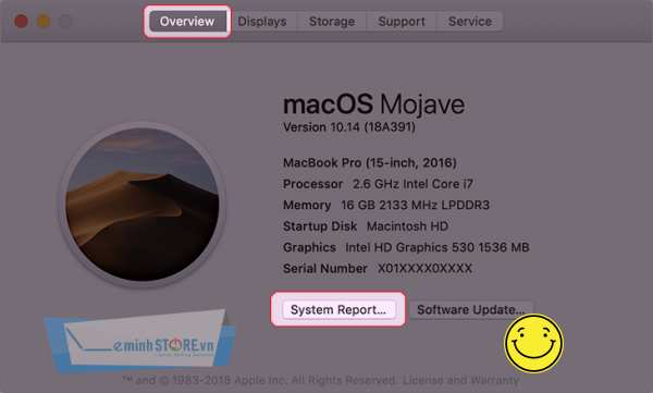Chọn System Report Chọn System Report