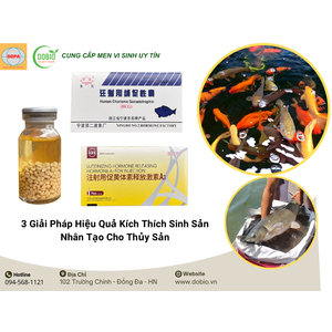 3 Giải Pháp Hiệu Quả Kích Thích Sinh Sản Nhân Tạo Cho Thủy Sản: LRH-A3, Não Thuỳ Cá, HCG