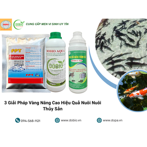 3 Giải Pháp Vàng Nâng Cao Hiệu Quả Nuôi Nuôi Thủy Sản