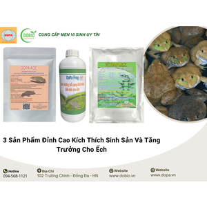 3 Sản Phẩm Đỉnh Cao Kích Thích Sinh Sản Và Tăng Trưởng Cho Ếch 🐸🌟