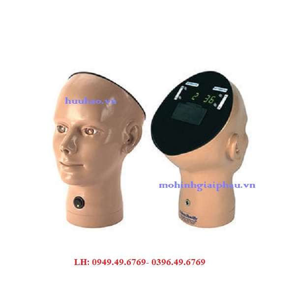 Mô hình điều dưỡng soi đáy mắt