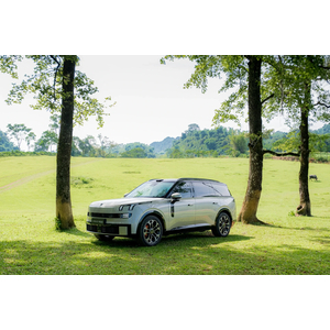 Lynk & Co 900