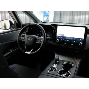 Lexus LM 500h (6 Chỗ)