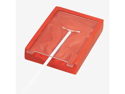 Mô hình vòng tránh thai