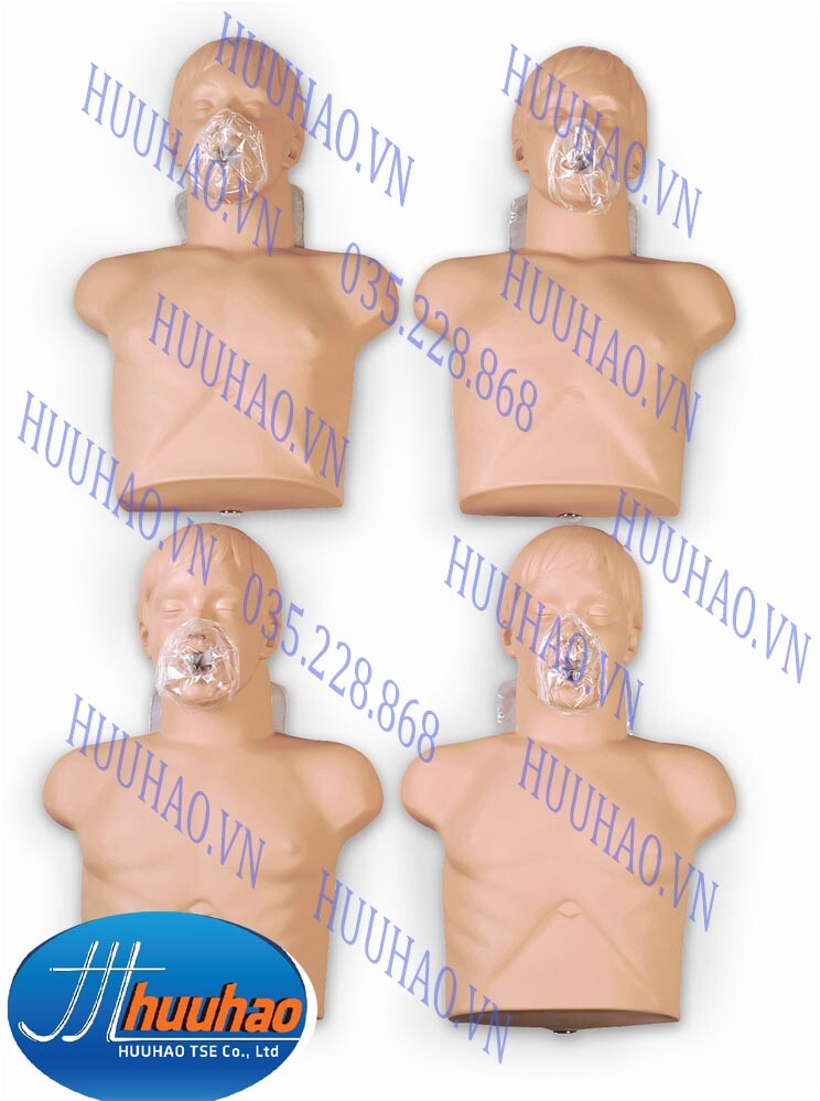Bộ 4 mô hình sơ cấp cứu bán thân người lớn loại cơ bản