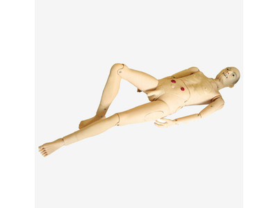 Mô hình điều dưỡng người cao tuổi đầy đủ chức năng