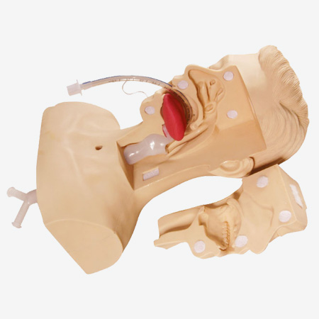 Mô hình mô phỏng đào tạo hút nâng cao