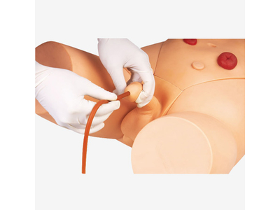 Mô hình đào tạo ống thông tiểu (Nam)