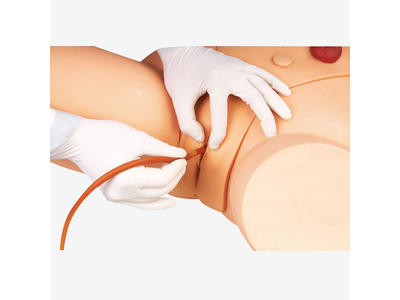 Mô hình đặt ống thông tiểu (Female)