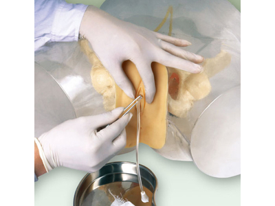 Mô hình đặt ống thông tiểu (Nữ)