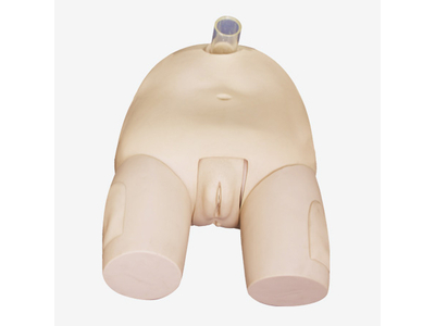 Mô hình chọc dò bàng quang (Nữ)