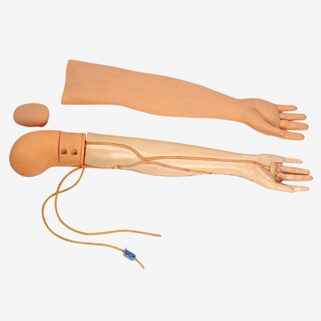 Mô hình cánh tay đầy đủ chức năng