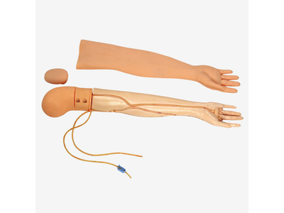 Mô hình cánh tay đầy đủ chức năng