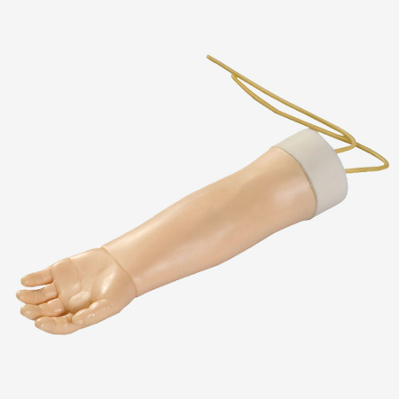 Mô hình mô phỏng tĩnh mạch tay ở trẻ nhỏ