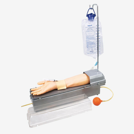 Mô hình điều dưỡng tiêm động mạch hướng tâm xoay