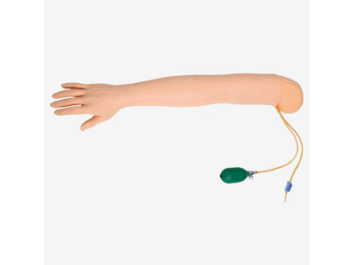 Mô hình dò chọc động mạch cánh tay