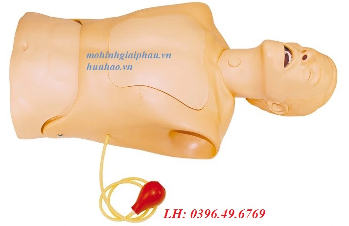 MÔ HÌNH ĐẶT SONDE DẠ DÀY 375-10001 LAERDAL