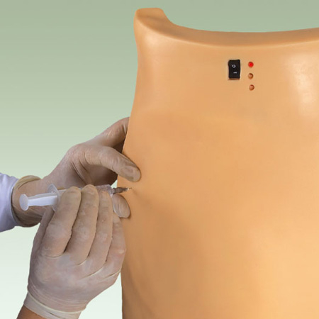 Mô hình tiêm mông điện tử