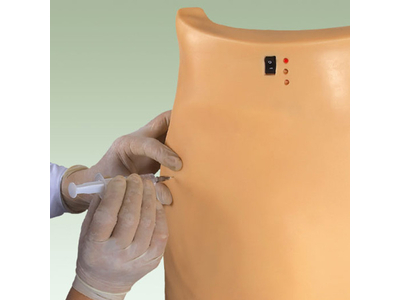 Mô hình tiêm mông điện tử