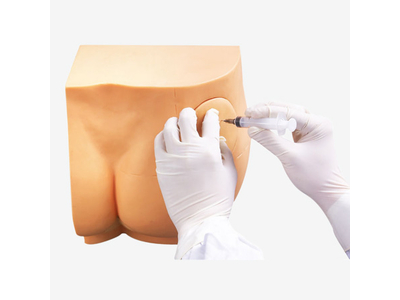 Mô hình tiêm bắp mông