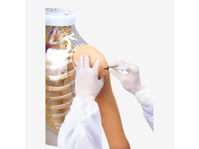 Mô hình tiêm bắp trong suốt