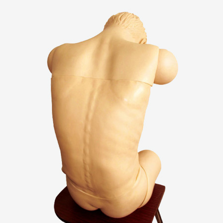 Mô hình mô phỏng đào tạo kỹ năng chọc dò toàn diện nâng cao (Tư thế ngồi không được bảo vệ)