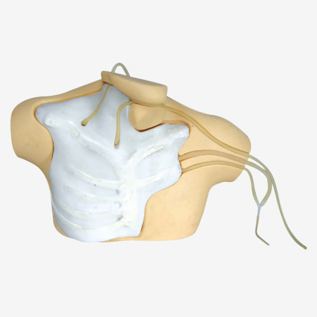 Bộ mô phỏng tĩnh mạch trung tâm