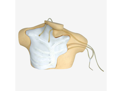 Bộ mô phỏng tĩnh mạch trung tâm