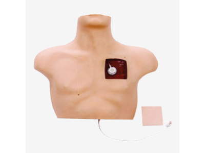 Mô hình mô phỏng can thiệp tĩnh mạch