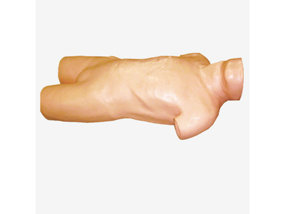 Mô hình chọc dò ổ bụng