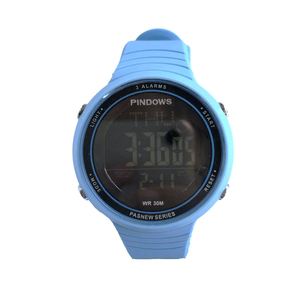 Pindows 501
