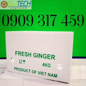 Thùng nhựa đựng gừng 4kg