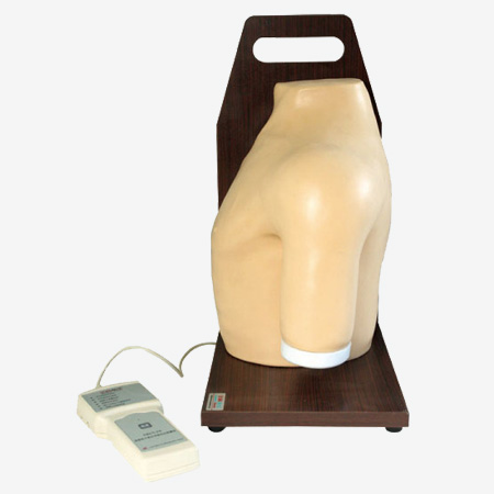 Mô hình mô phỏng tiêm khớp vai điện tử nâng cao