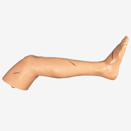 Mô hình phẫu thuật chân nâng cao