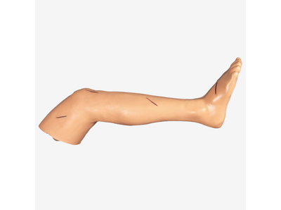 Mô hình phẫu thuật chân nâng cao