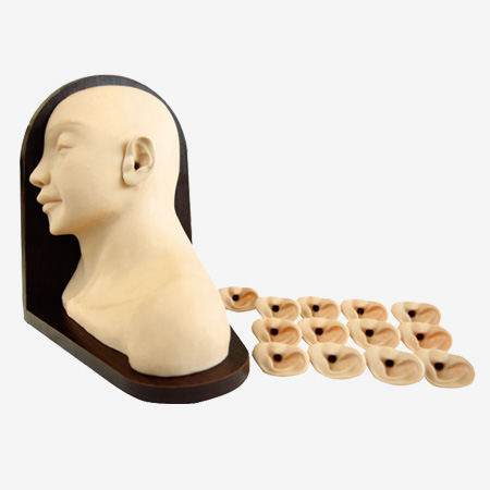 Mô hình mô phỏng kiểm tra tai trước