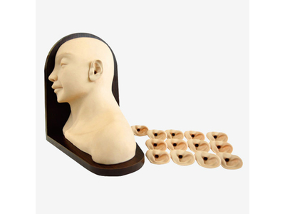 Mô hình mô phỏng kiểm tra tai trước