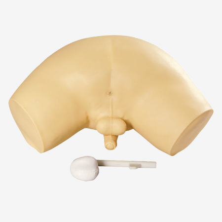 Mô hình mô phỏng kiểm tra tuyến tiền liệt