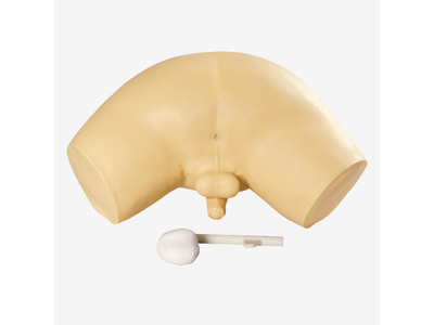 Mô hình mô phỏng kiểm tra tuyến tiền liệt