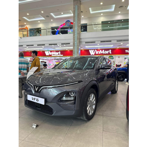 VinFast VF- 6Eco