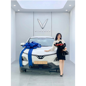VinFast VF- 6Eco