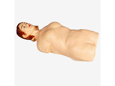 Mô hình bắt mạch mỏm tim