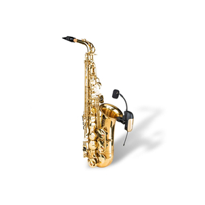 Micro Không Dây Cho Saxophone Acemic PR-8 ECHO ST-4, sân khấu chuyên nghiệp
