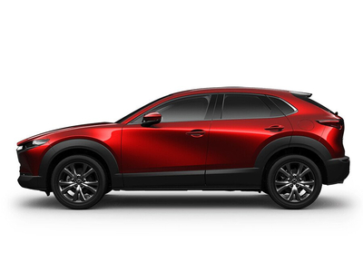 Mazda CX-30 Luxury (E5)