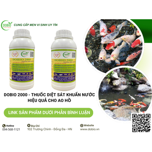 5 Công Dụng Tuyệt Vời Của DOBIO 2000 Nano Bạc Đồng Cho Ao Nuôi