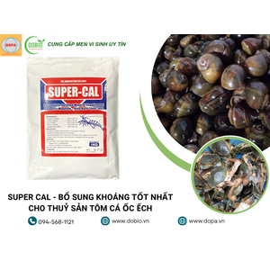 5 Lợi Ích Tuyệt Vời Của SUPER CAL – Khoáng Chất Tốt Nhất Cho Ao Nuôi Tôm, Cua, Ốc